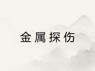 金属探伤