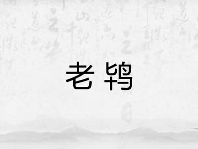 老鸨