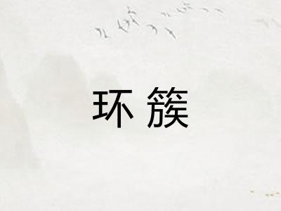 环簇 环簇