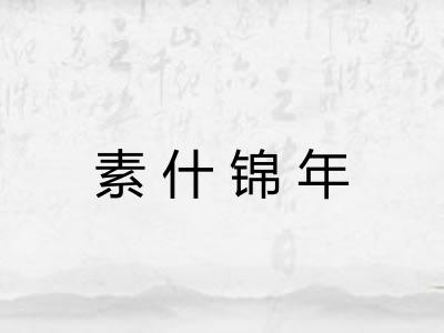 素什锦年 素什锦年