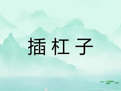 插杠子 插杠子