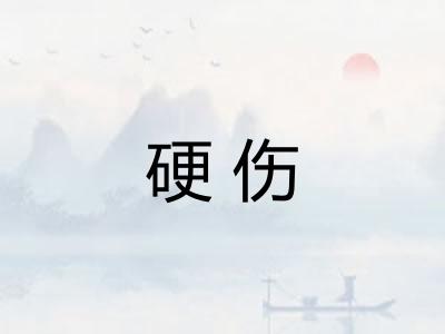 硬伤 硬伤