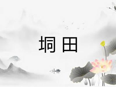 垌田