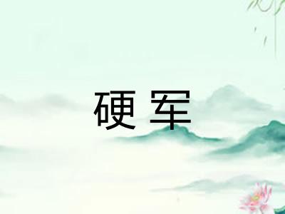 硬军 硬军
