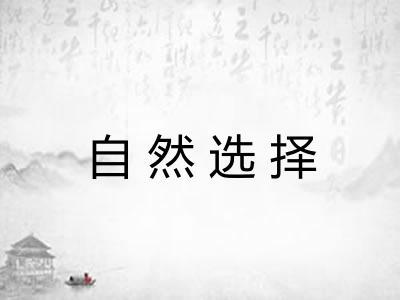 自然选择 自然选择