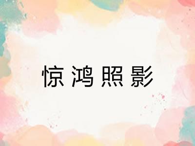 惊鸿照影