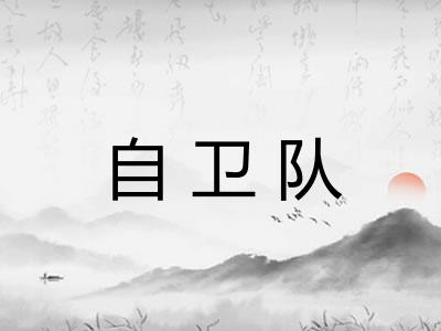 自卫队